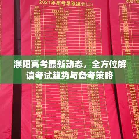 濮阳高考最新动态，全方位解读考试趋势与备考策略