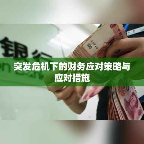 突发危机下的财务应对策略与应对措施