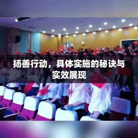 扬善行动，具体实施的秘诀与实效展现