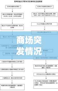 商场突发情况应对流程详解，保障顾客安全，提升应急处理能力
