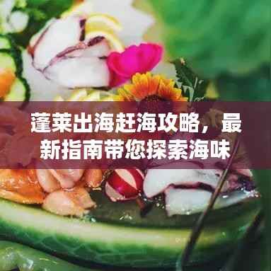 蓬莱出海赶海攻略，最新指南带您探索海味盛宴！