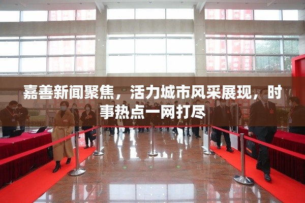 嘉善新闻聚焦，活力城市风采展现，时事热点一网打尽