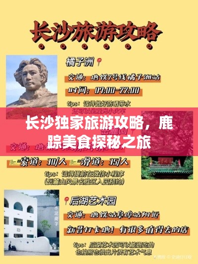 长沙独家旅游攻略，鹿踪美食探秘之旅