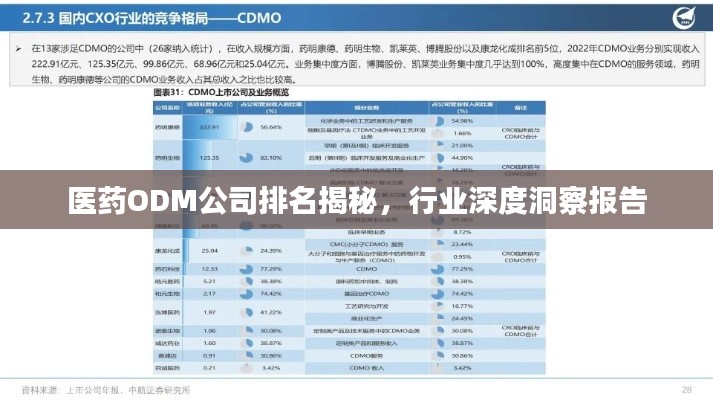 医药ODM公司排名揭秘，行业深度洞察报告
