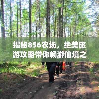 揭秘856农场，绝美旅游攻略带你畅游仙境之地！
