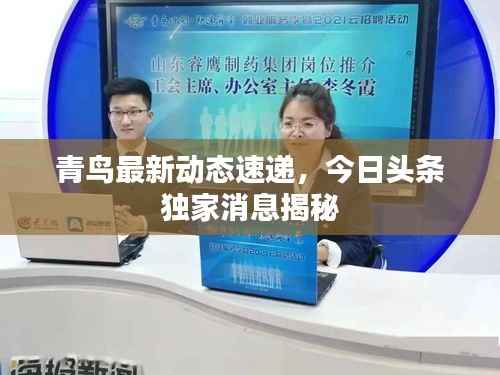 青鸟最新动态速递，今日头条独家消息揭秘
