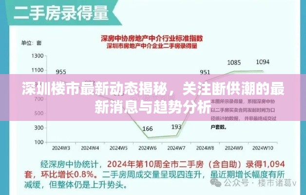 深圳楼市最新动态揭秘，关注断供潮的最新消息与趋势分析