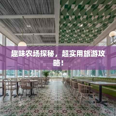 趣味农场探秘，超实用旅游攻略！