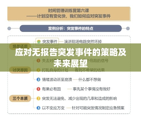 应对无报告突发事件的策略及未来展望