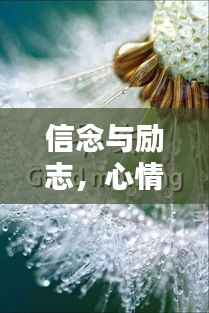信念与励志，心情语录中的力量源泉与无限希望