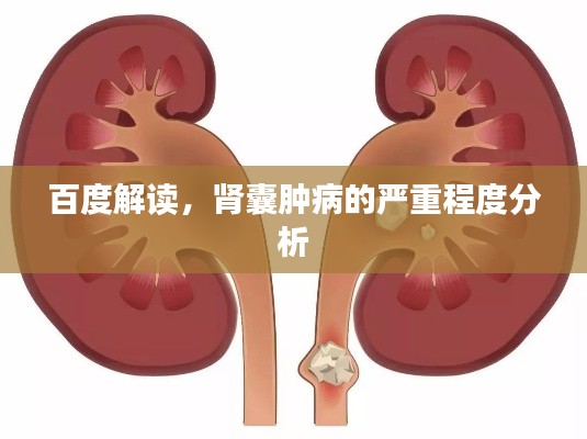 百度解读，肾囊肿病的严重程度分析