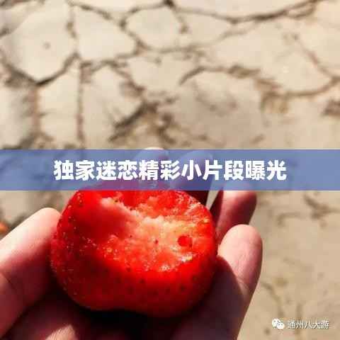 一花独放 第4页