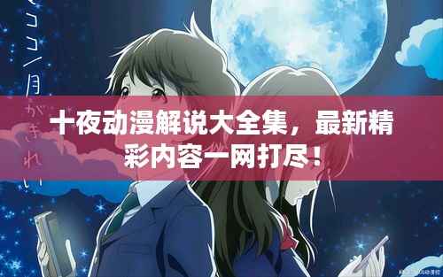 十夜动漫解说大全集，最新精彩内容一网打尽！