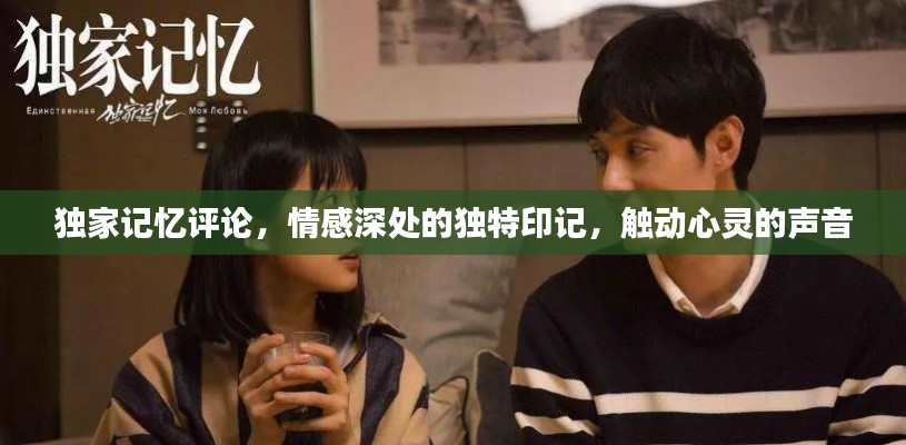 独家记忆评论，情感深处的独特印记，触动心灵的声音