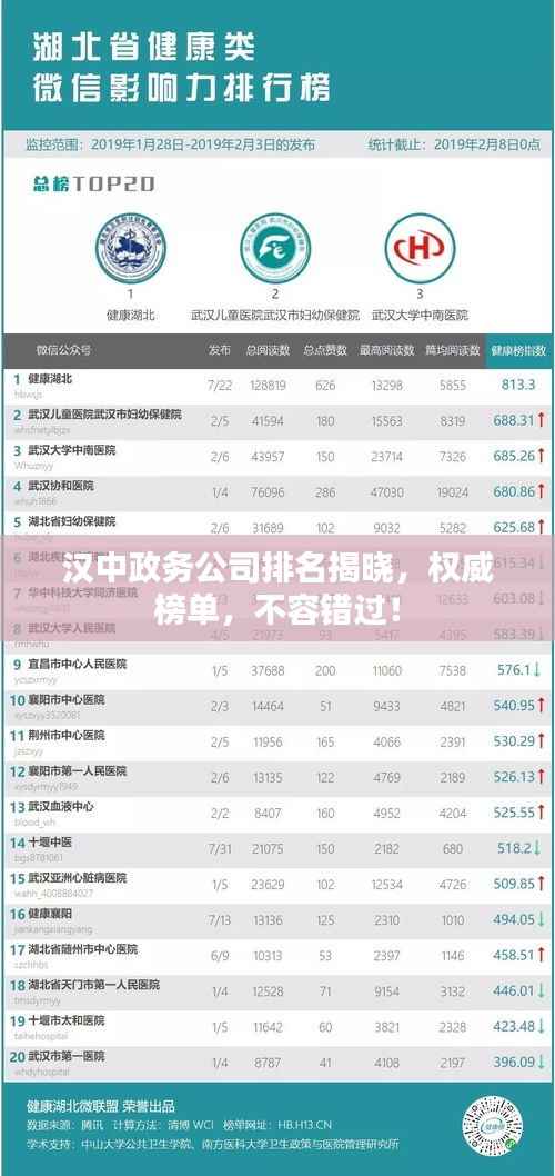 汉中政务公司排名揭晓，权威榜单，不容错过！