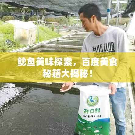 鲶鱼美味探索，百度美食秘籍大揭秘！