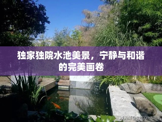 独家独院水池美景，宁静与和谐的完美画卷