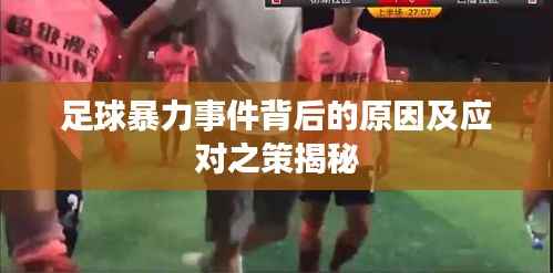 足球暴力事件背后的原因及应对之策揭秘