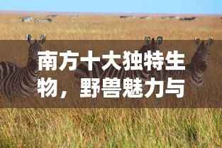 南方十大独特生物，野兽魅力与生态价值揭秘
