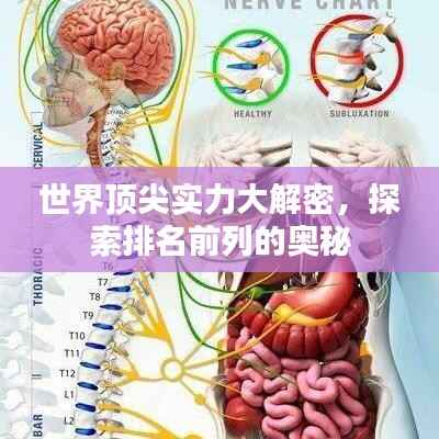 世界顶尖实力大解密，探索排名前列的奥秘
