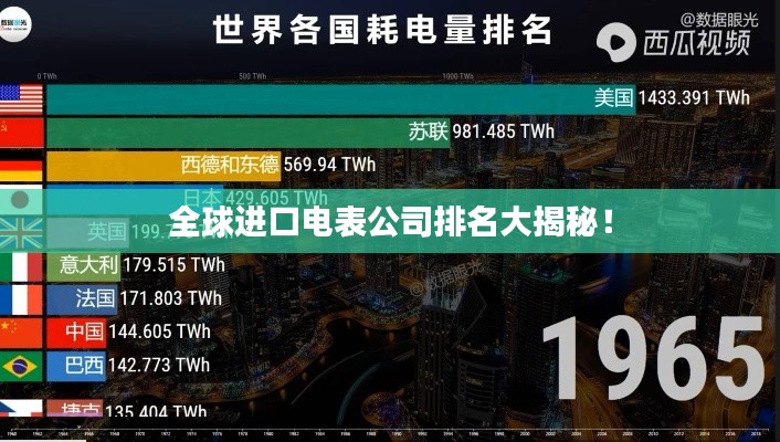全球进口电表公司排名大揭秘！