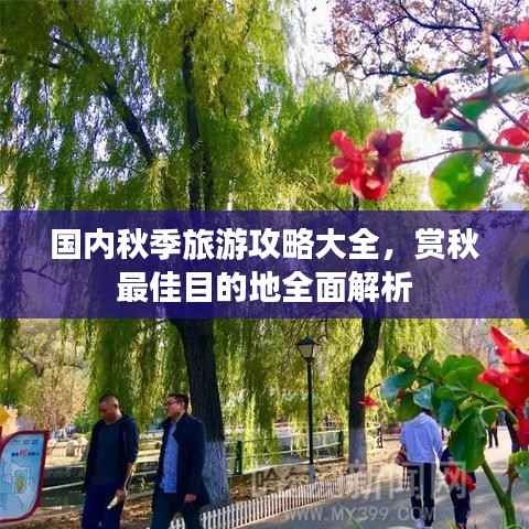 国内秋季旅游攻略大全，赏秋最佳目的地全面解析