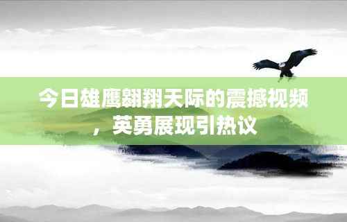 今日雄鹰翱翔天际的震撼视频，英勇展现引热议