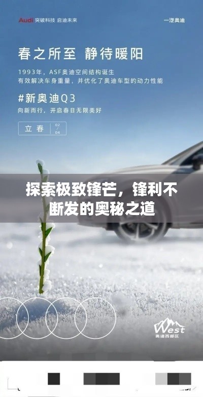 探索极致锋芒，锋利不断发的奥秘之道