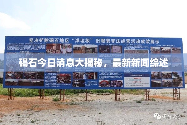 碣石今日消息大揭秘，最新新闻综述