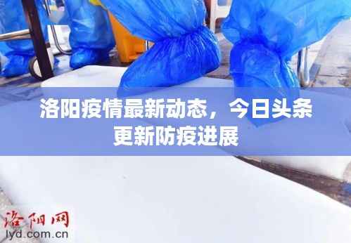 洛阳疫情最新动态，今日头条更新防疫进展