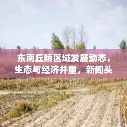 东南丘陵区域发展动态，生态与经济并重，新闻头条大揭秘