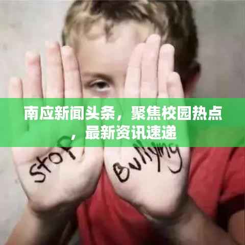 南应新闻头条，聚焦校园热点，最新资讯速递