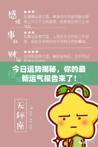 今日运势揭秘，你的最新运气报告来了！