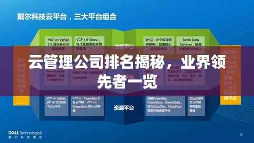 云管理公司排名揭秘，业界领先者一览