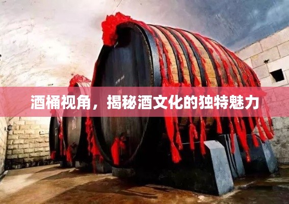 酒桶视角，揭秘酒文化的独特魅力
