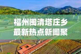 屦贱踊贵 第4页