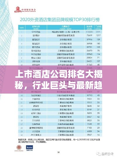 上市酒店公司排名大揭秘，行业巨头与最新趋势速览