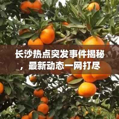 长沙热点突发事件揭秘，最新动态一网打尽
