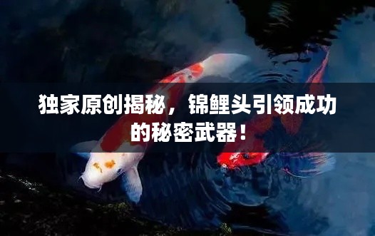 独家原创揭秘，锦鲤头引领成功的秘密武器！