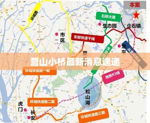 营山小桥最新消息速递