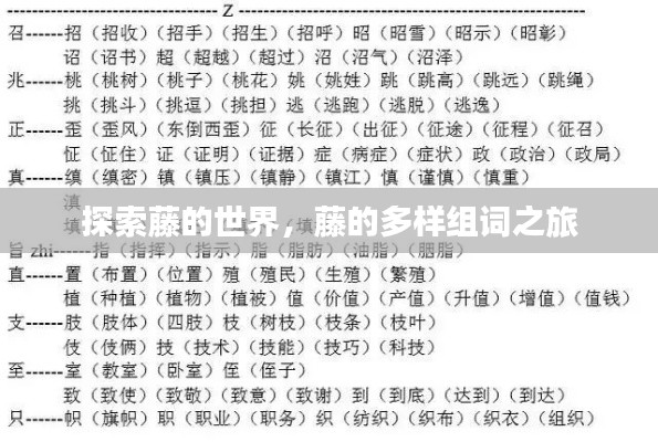 探索藤的世界，藤的多样组词之旅