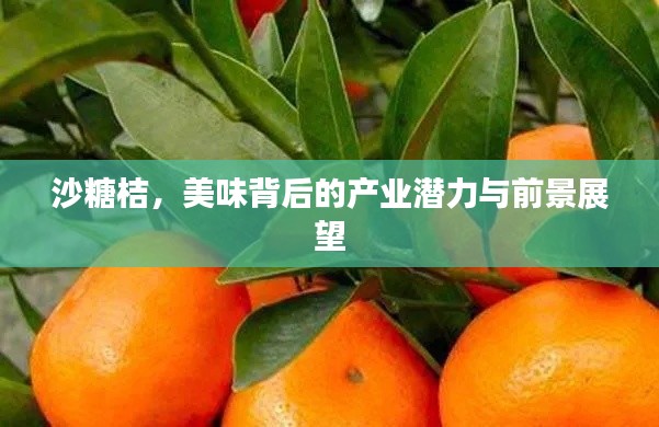 沙糖桔，美味背后的产业潜力与前景展望