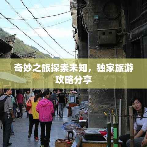 鸟骇鼠窜 第3页