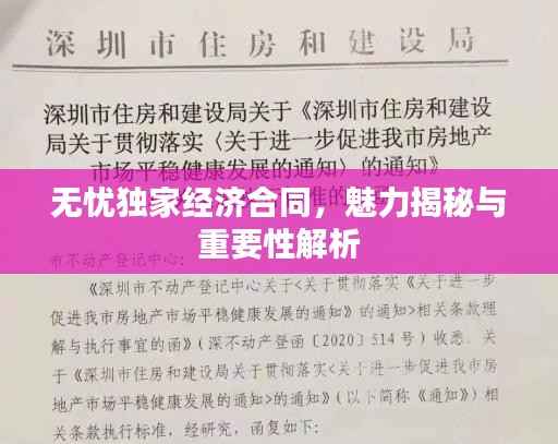 无忧独家经济合同，魅力揭秘与重要性解析