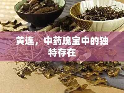 别出新意 第3页