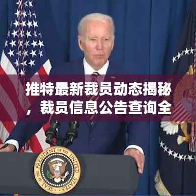 推特最新裁员动态揭秘，裁员信息公告查询全解析