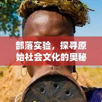 部落实验，探寻原始社会文化的奥秘之旅