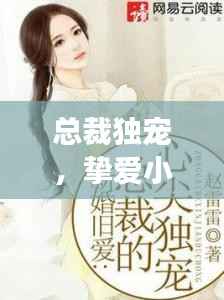 总裁独宠，挚爱小宝贝