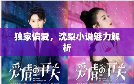 独家偏爱，沈梨小说魅力解析