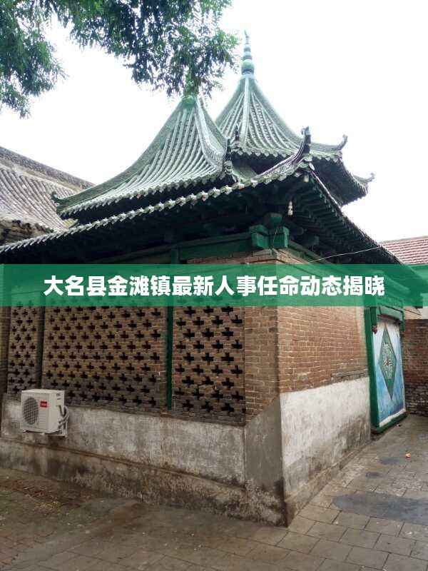 大名县金滩镇最新人事任命动态揭晓